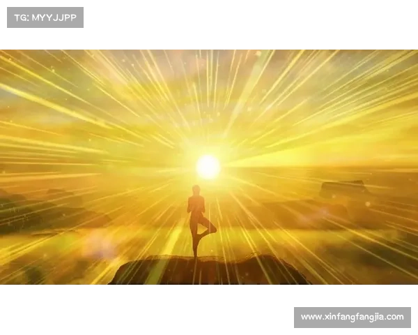 在森林深处寻找内心平静与力量的冥想之旅