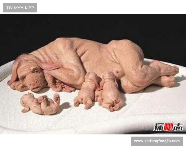 五大古代遗址深度探秘揭示黄金甲背后的神秘真相 五大古代遗址深度探秘揭示黄金甲背后的神秘真相