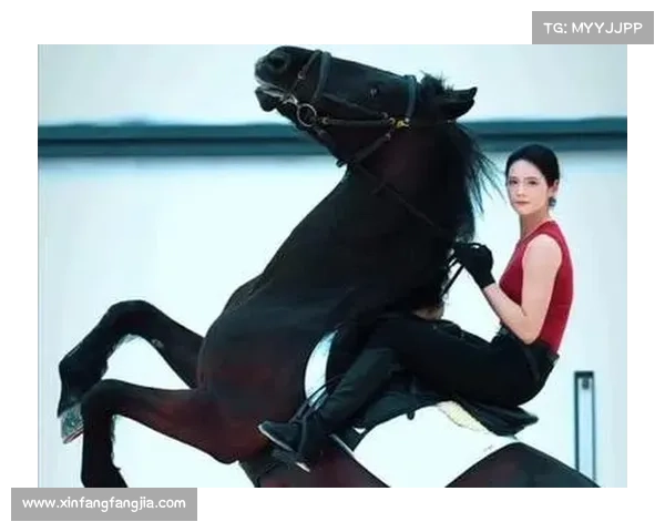 掌握英俊白马骑乘技巧让你化身优雅骑士驰骋天地之间 掌握英俊白马骑乘技巧让你化身优雅骑士驰骋天地之间